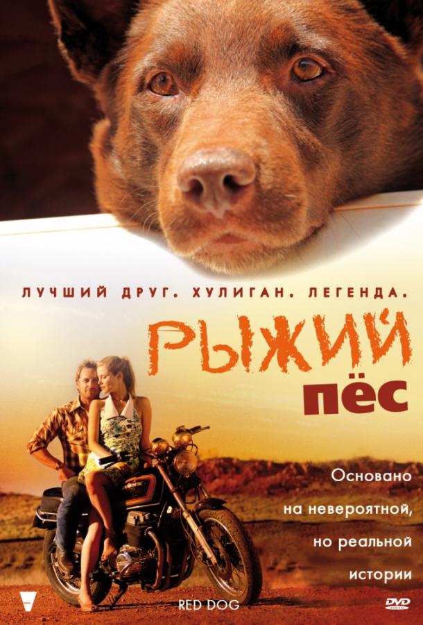 Фильм Рыжий пес (2011) смотреть онлайн в качестве FHD